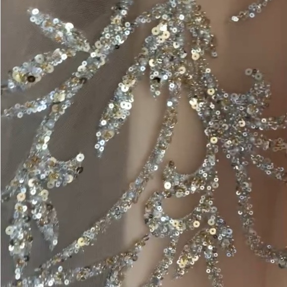 Gorgeous tulle gown - Picture 10 of 11